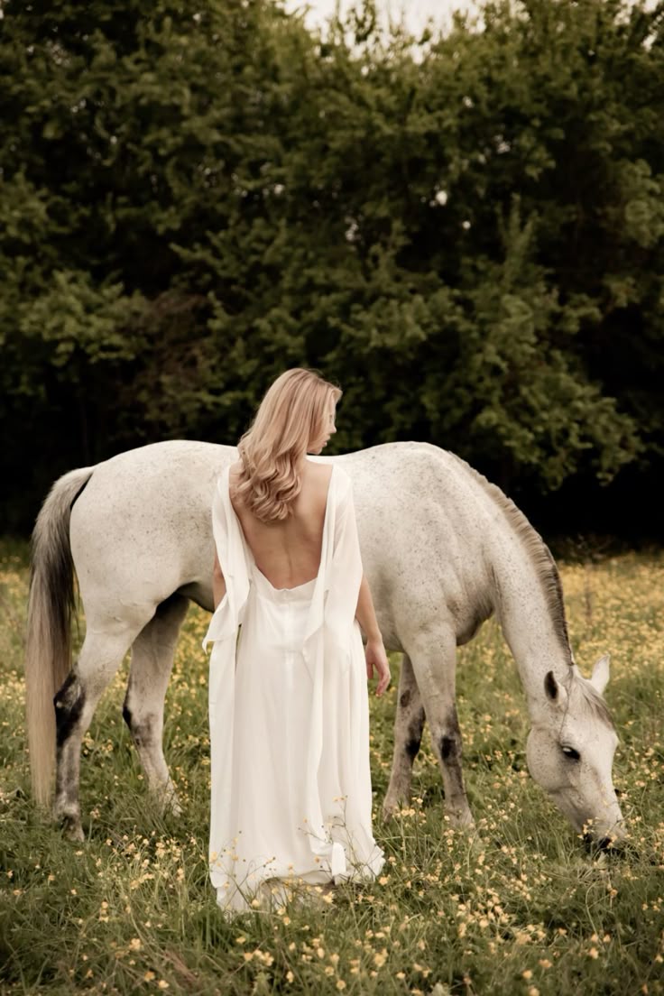 Sedinte foto video cai